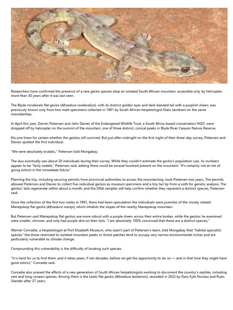 Absolutely Ecstatic' Scientists Confirm Survival of Rare South African ...