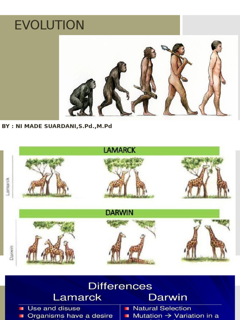 Evolution 12 | PDF