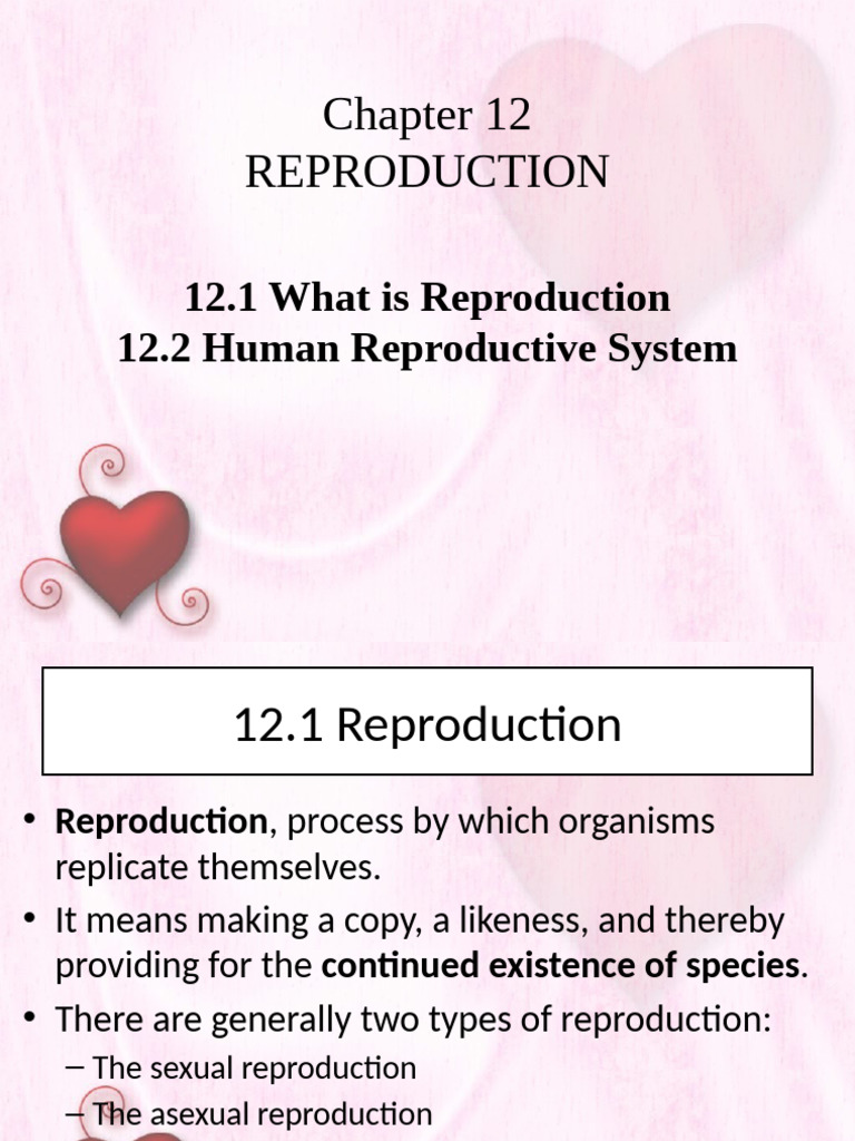 Understanding Human Reproduction Systems | PDF | Sexual Reproduction ...