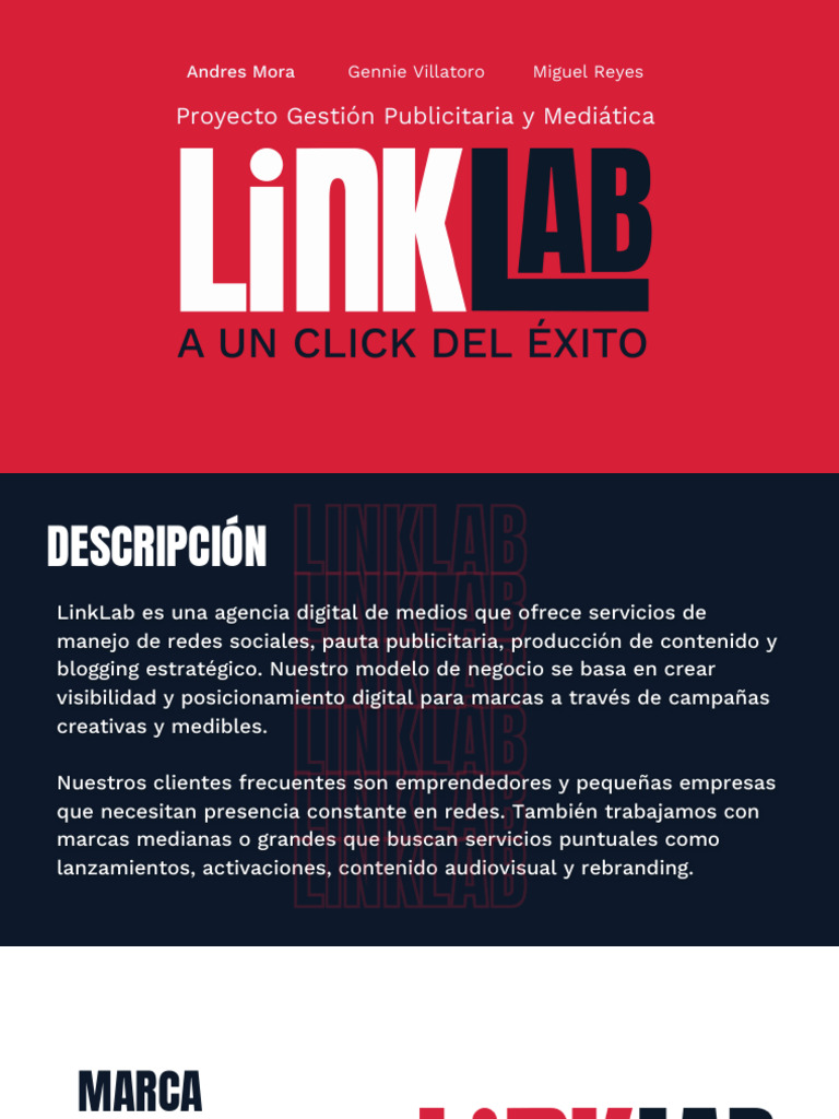 Link Lab | PDF | Marca | Inteligencia artificial
