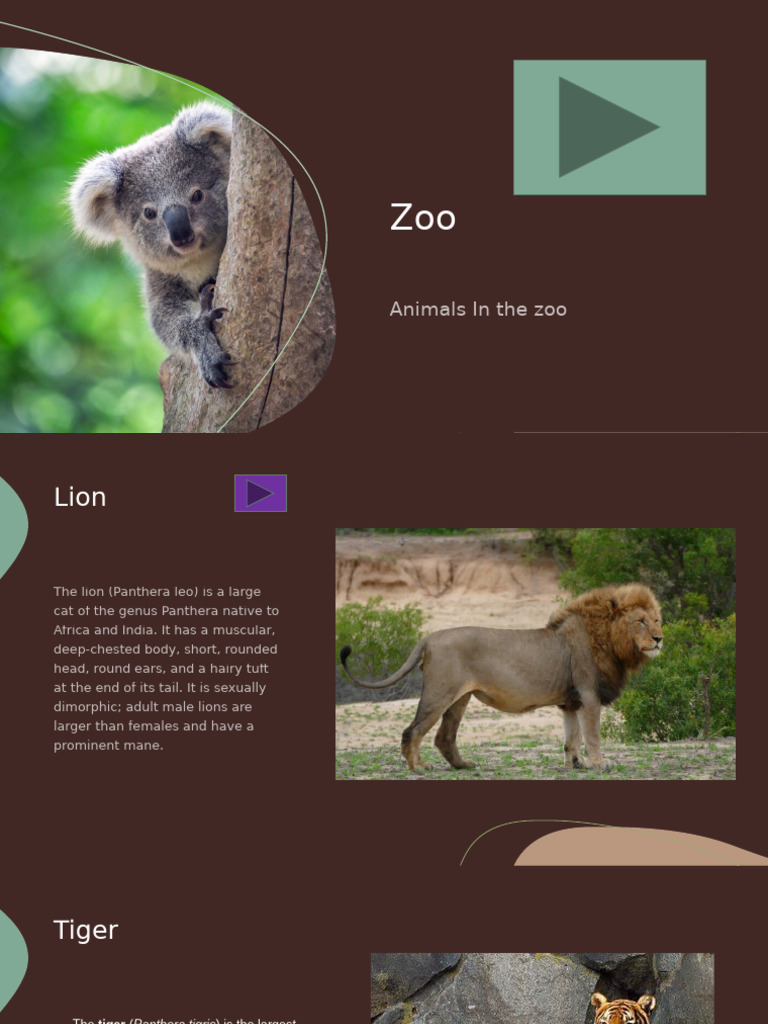 Animals in The Zoo | PDF