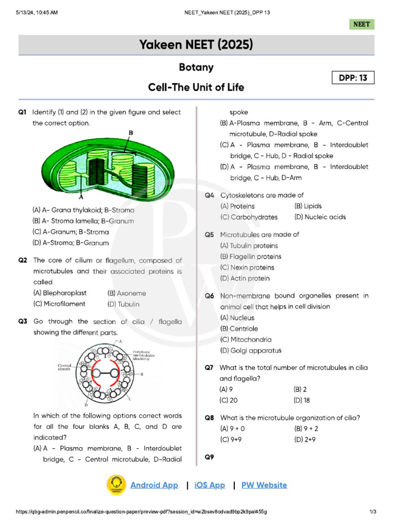 Cell - The Unit of Life - DPP 13 (Of Lec-14) - Yakeen NEET 20 | PDF