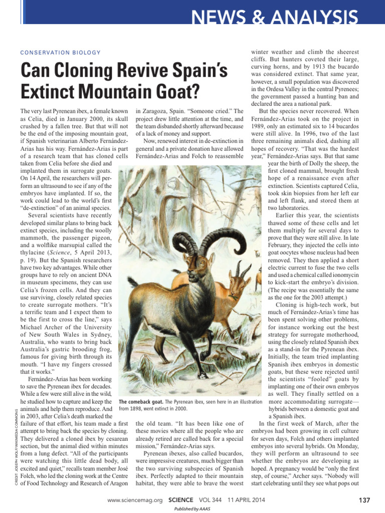 Can Cloning Revive Spains Extinct Goat | PDF