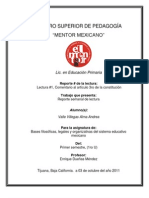 Cuadro Sinoptico BASES