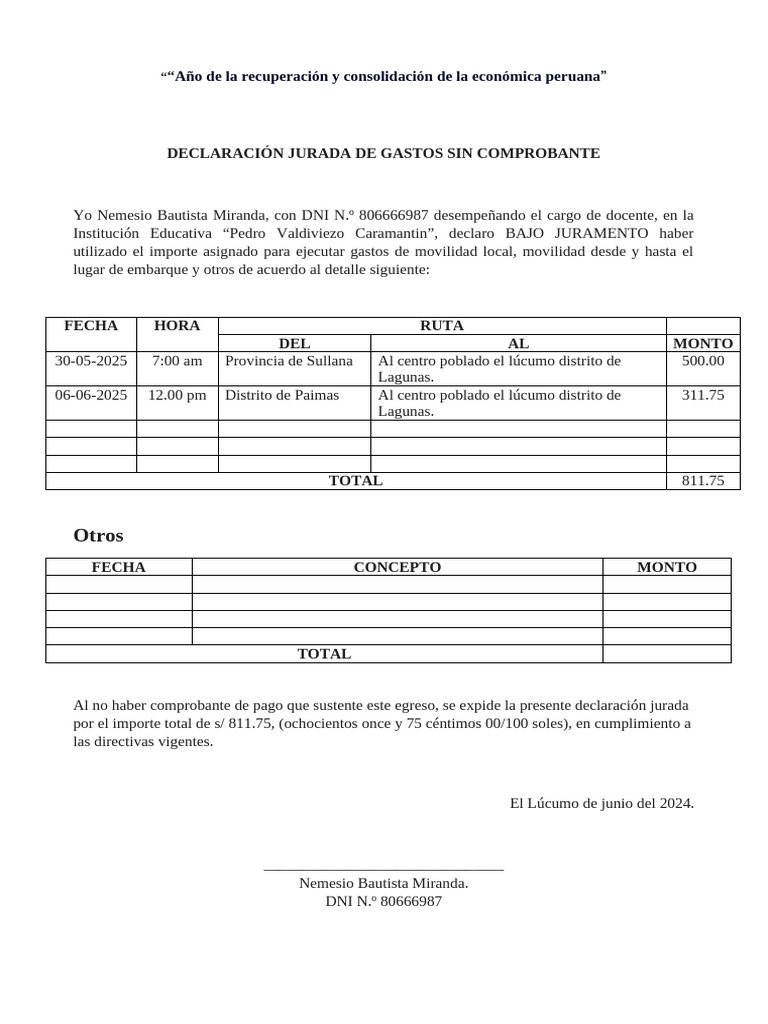 Declaración Jurada de Gastos 2025 | PDF