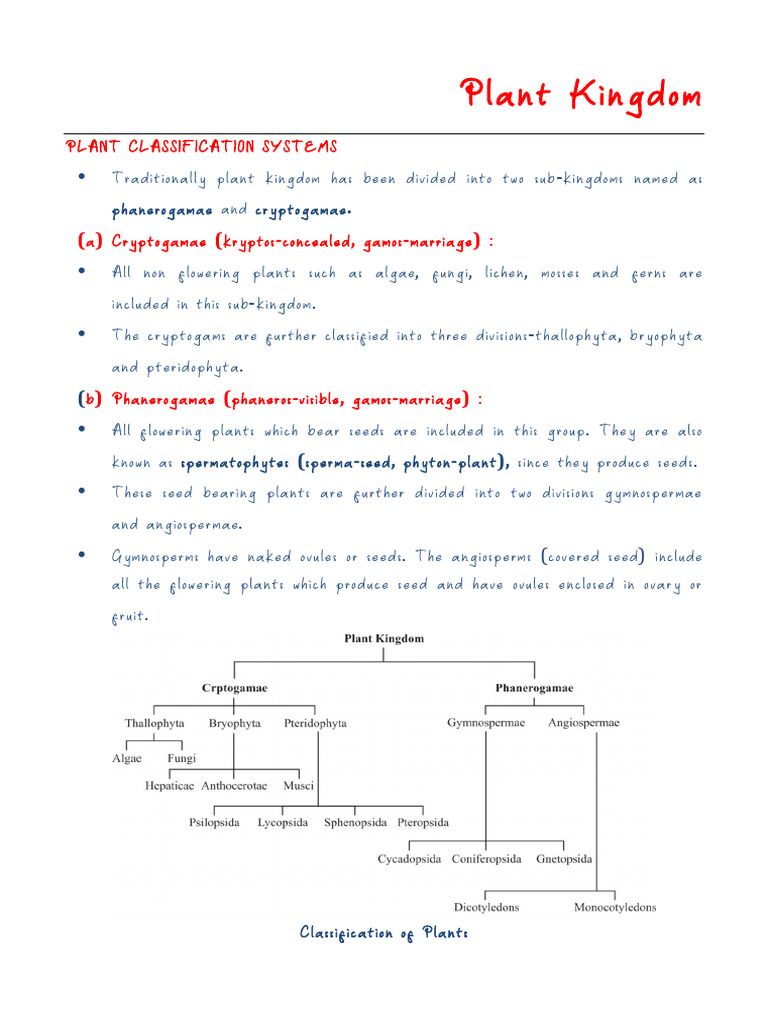 Plant Classification Systems Explained | PDF | Moss | Spore