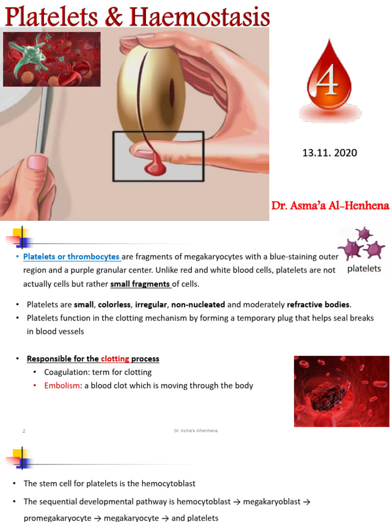 Understanding Platelets and Coagulation | PDF | Coagulation | Platelet