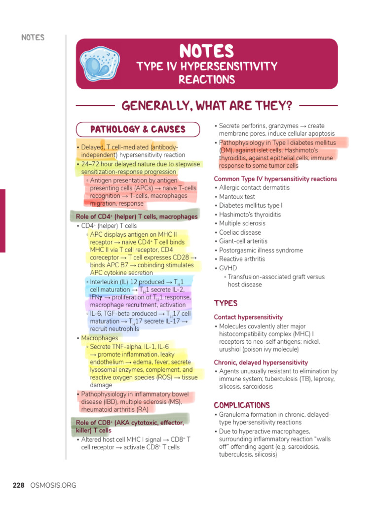 Type IV Hypersensitivity Overview | PDF | T Helper Cell | T Cell