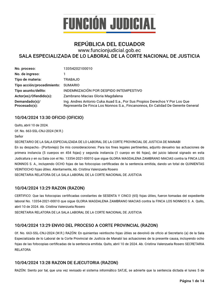 Expel 13354202100010 24308056 17072025 | PDF | Evidencia (ley) | Apelación