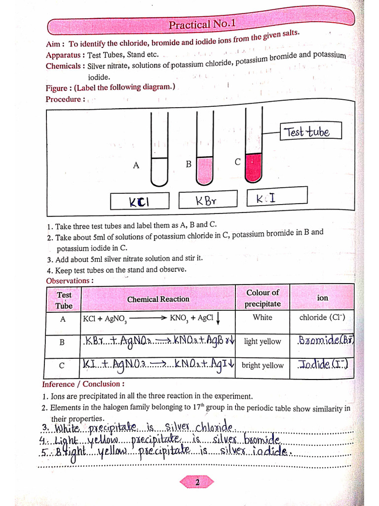 Science 1 Practical | PDF