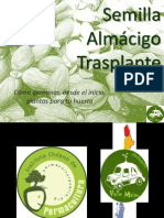 Semillas, Almácigo, Trasplante