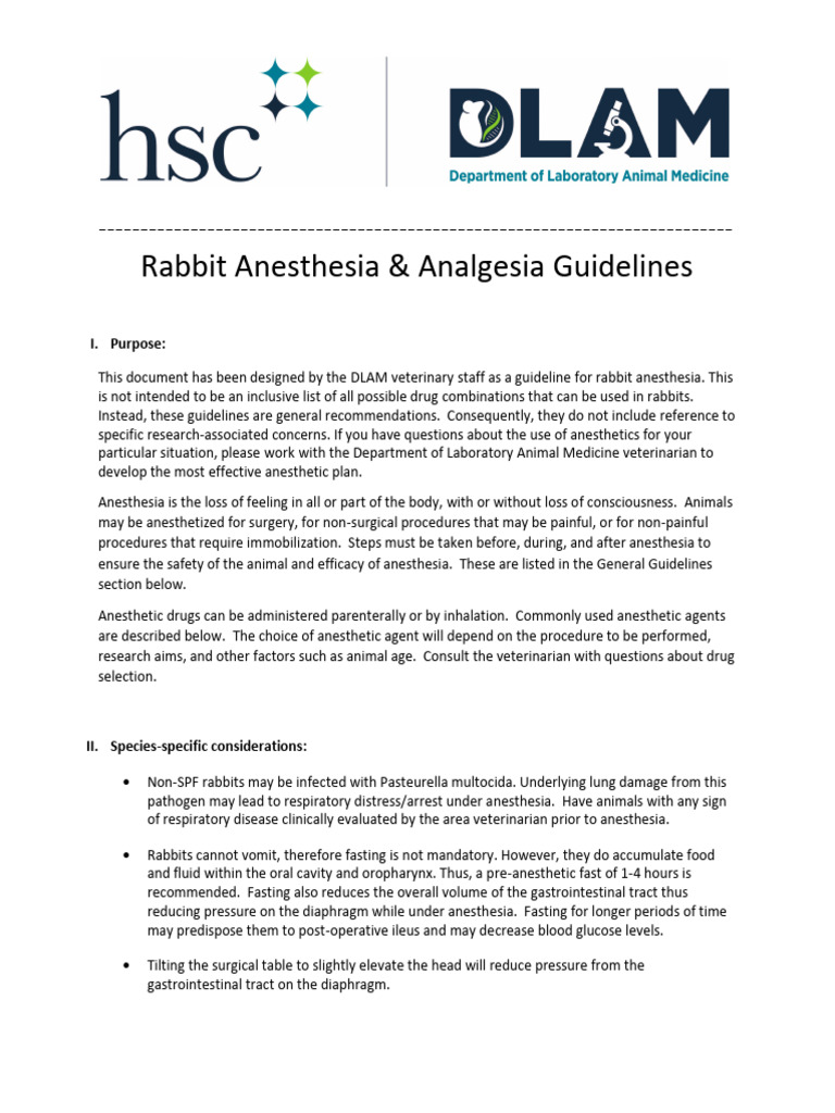Rabbit Anesthesia Guidelines | PDF | Anesthesia | Clinical Medicine