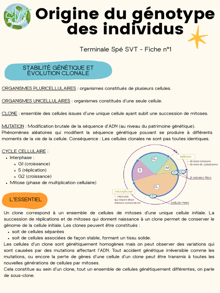 Origine et évolution du génotype humain | PDF | Méiose | Âge de glace