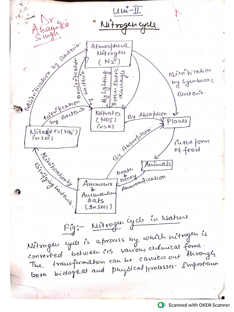 Unit II Notes | PDF