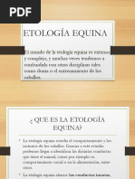 423439537-ETOLOGIA-EQUINA