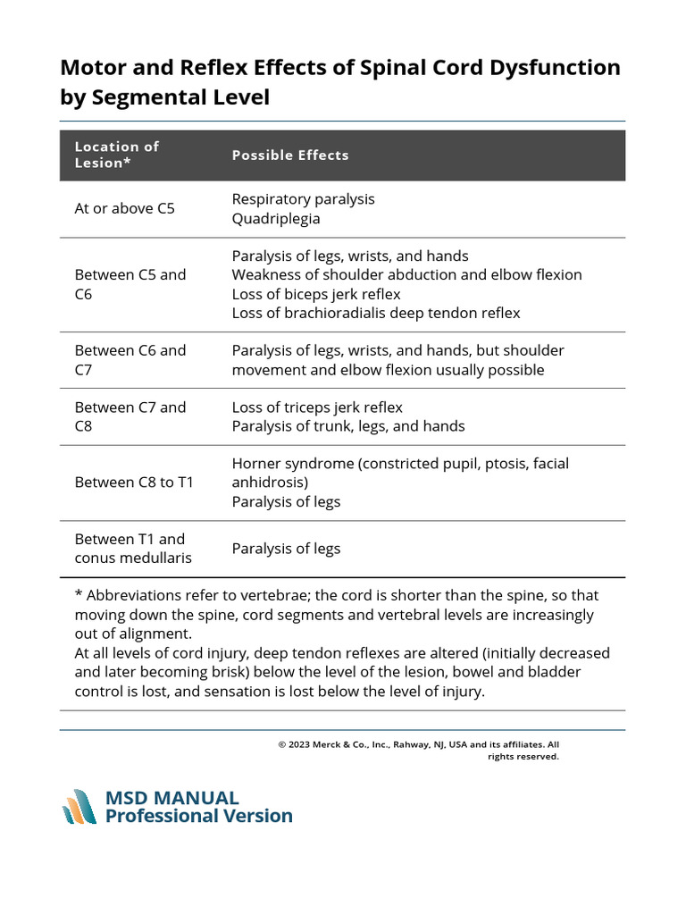 Spinal Cord Dysfunction Effects by Level | PDF
