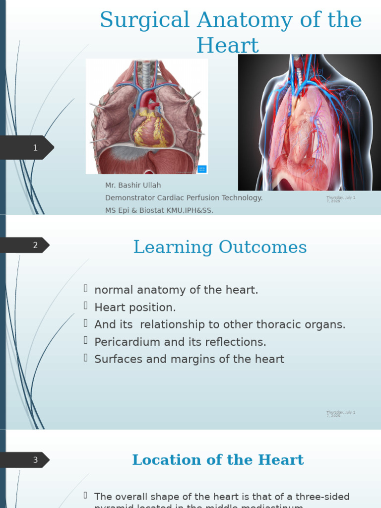 Heart Surgical Anatomy Overview | PDF | Vagus Nerve | Heart
