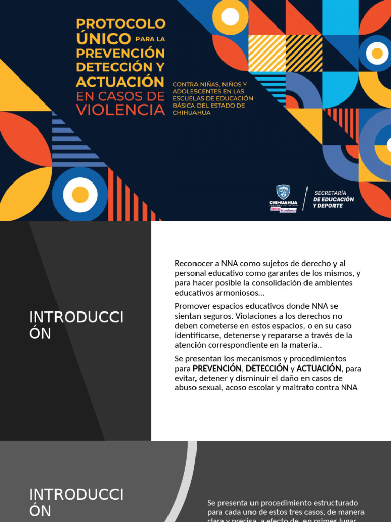 Protocolo de Protección NNA en Escuelas | PDF | Abuso infantil | Abuso ...