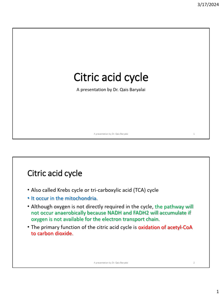Citric Acid Cycle Overview and Functions | PDF | Citric Acid Cycle ...
