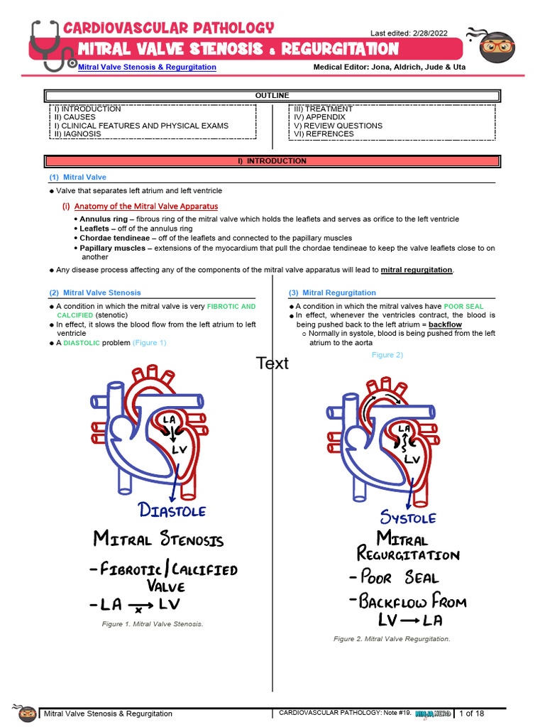 Mitral Valve Stenosis & Regurgitation Guide | PDF | Heart Valve ...