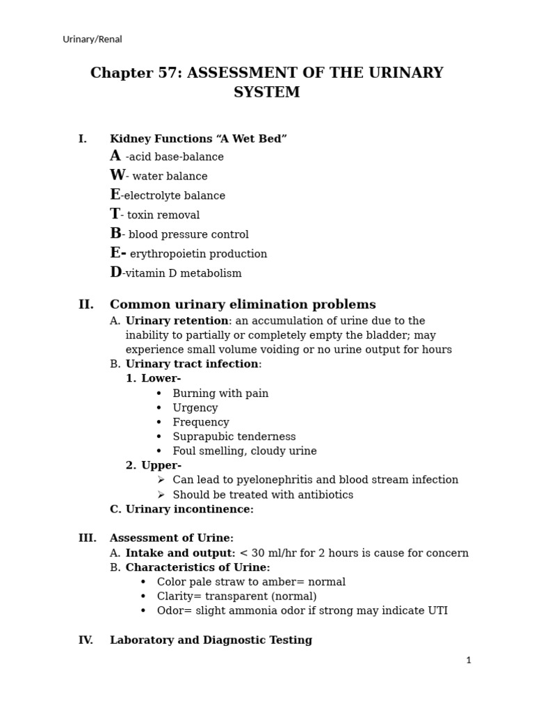 Urinary System Assessment Guide | PDF | Urinary System | Urination
