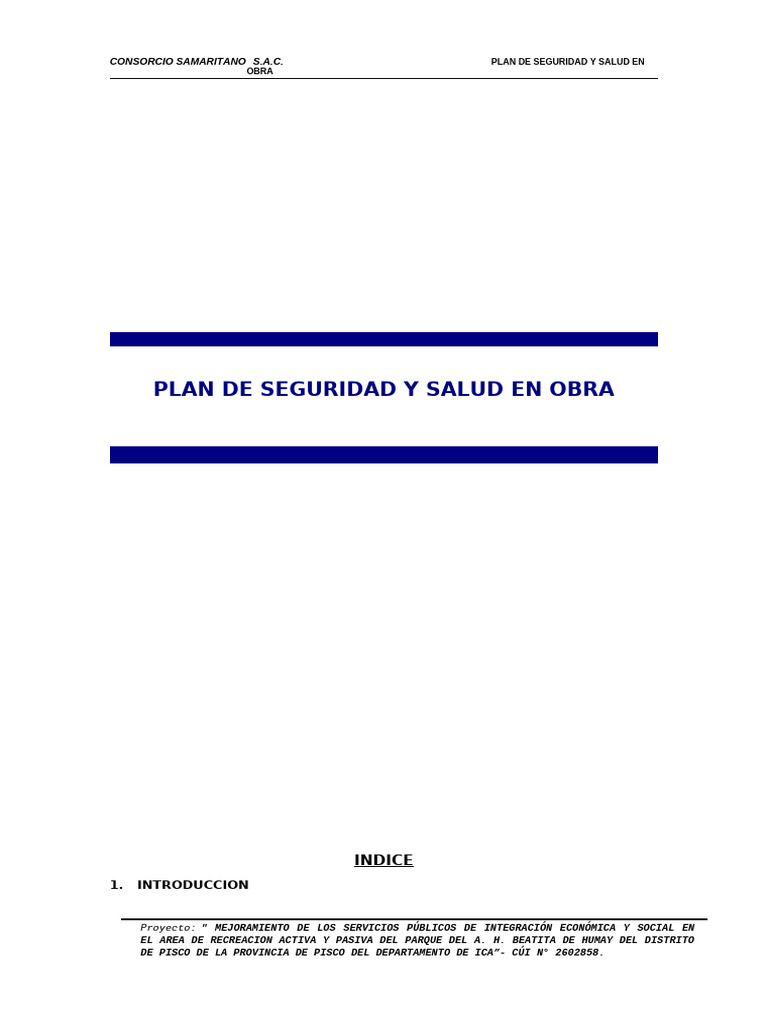 Plan de Seguridad y Salud en Obra Pisco | PDF | Evaluación de riesgos ...