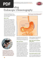 EUS CPT Codes Overview and Guidelines | PDF | Gastrointestinal Tract ...