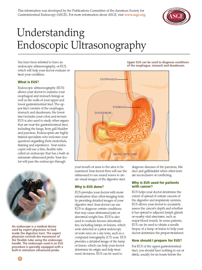 Endoscopic Ultrasonography Explained | PDF | Medicine | Diseases And ...