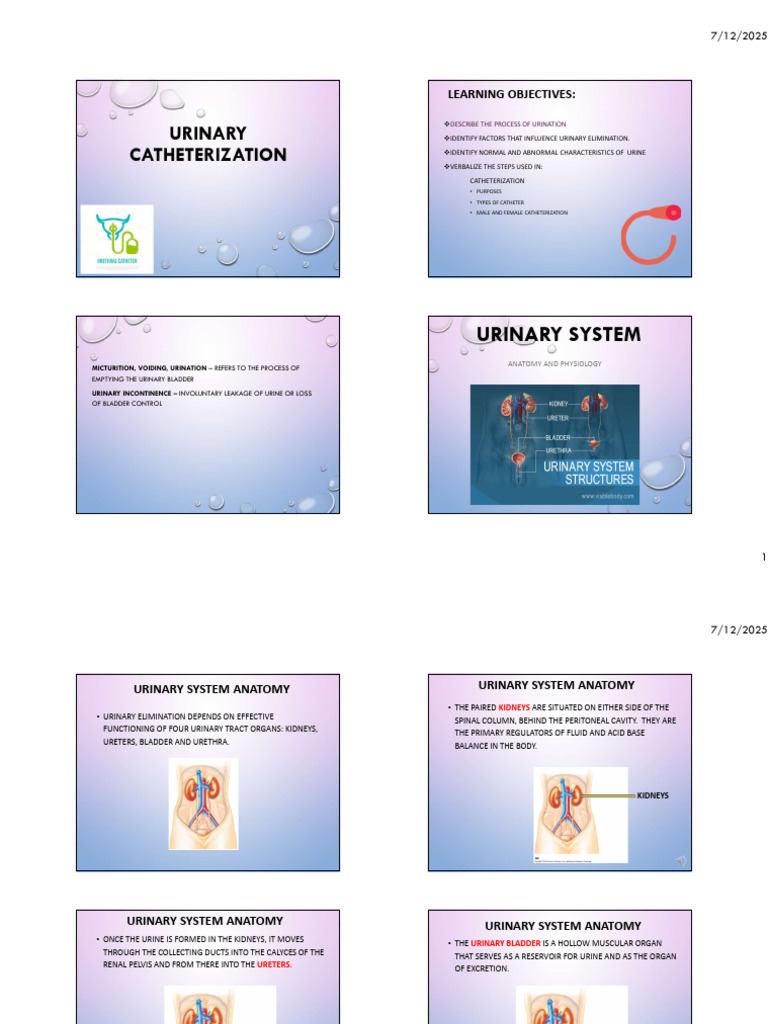 Urinary Catheterization Guide | PDF | Urinary System | Urine