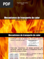 Mecanismos de Transporte de Calor