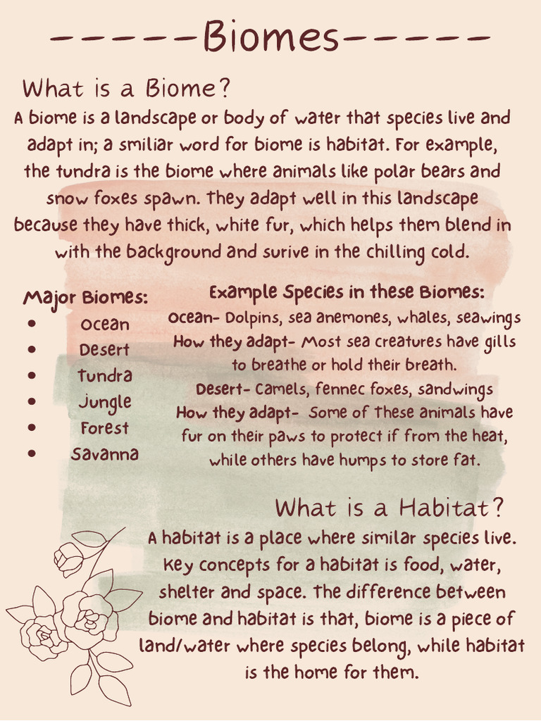 Savanna Biome Overview and Quiz | PDF