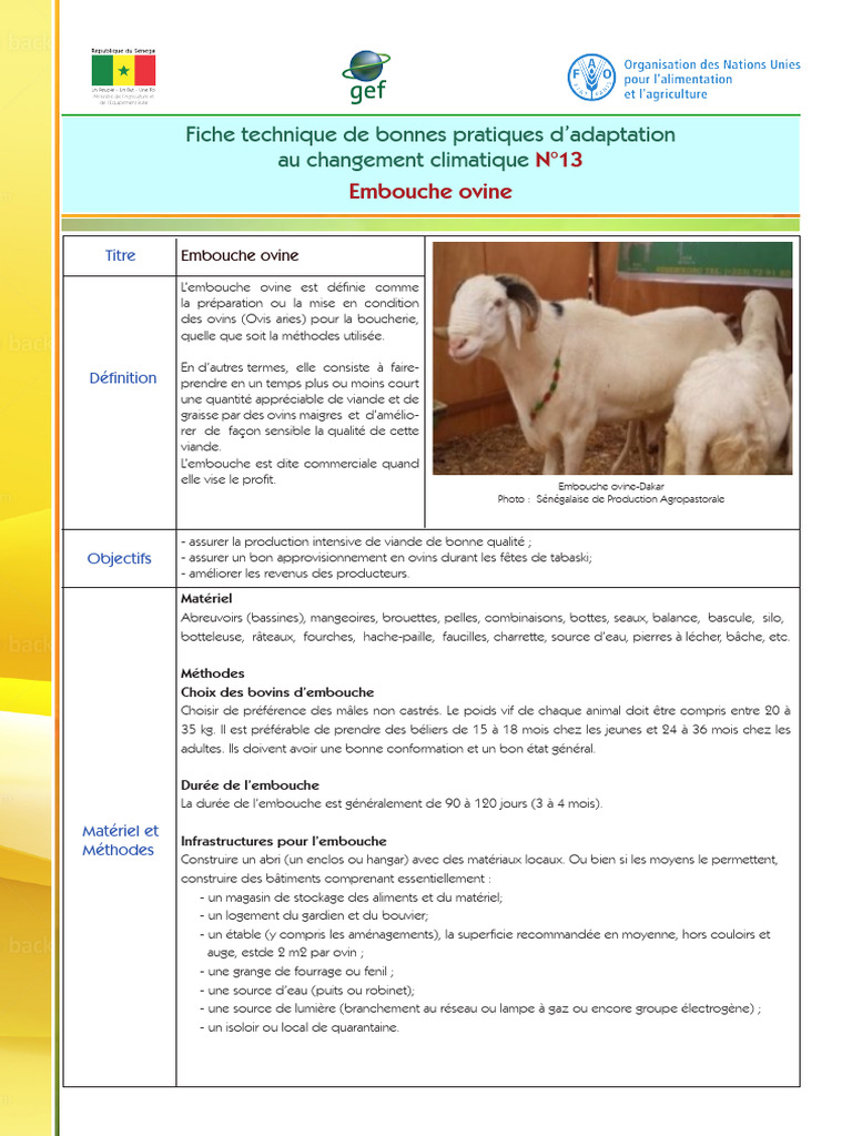 Bonnes pratiques d'embouche ovine | PDF | Mouton | Fourrage