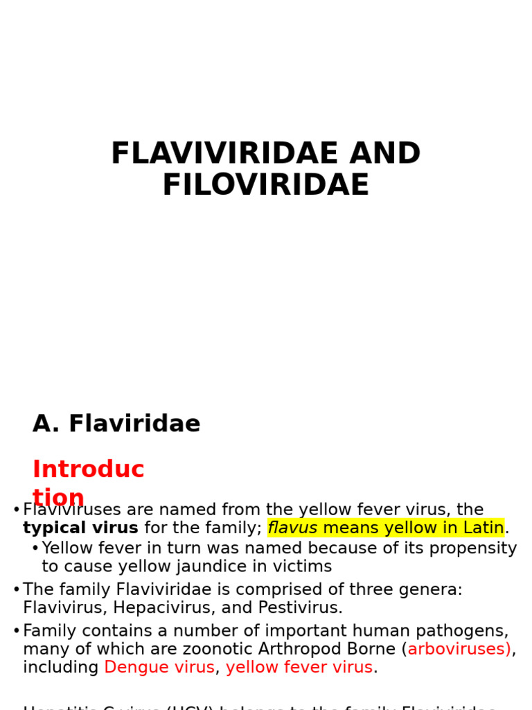 Filoviridae & Flaviviridae - BPharm 2025 | PDF | Zika Fever | Virus