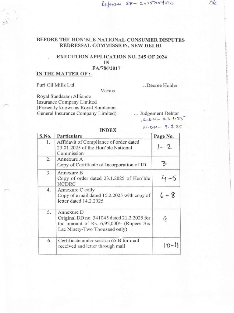NCDRC Execution Application 245/2024 | PDF