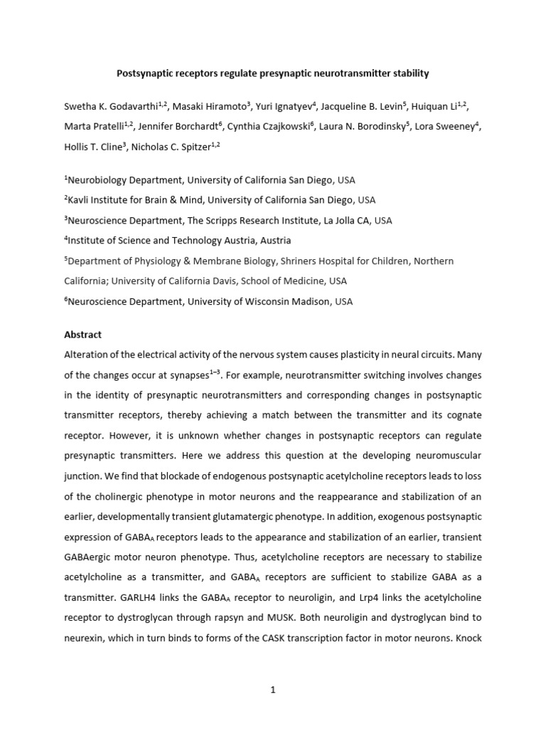 Postsynaptic Receptors Regulate Presynaptic Neurot | PDF | Synapse ...