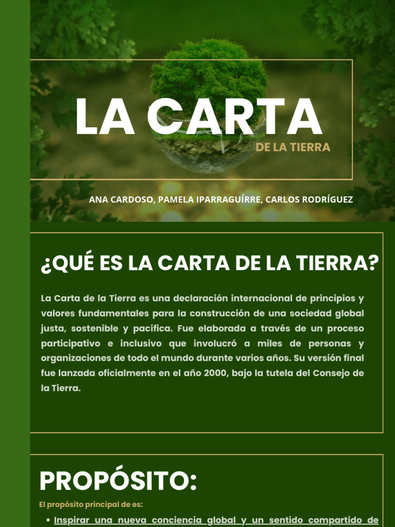 Principios de la Carta de la Tierra | PDF | Sustentabilidad ...