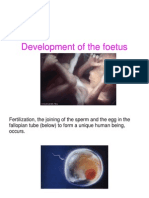 Development of The Foetus