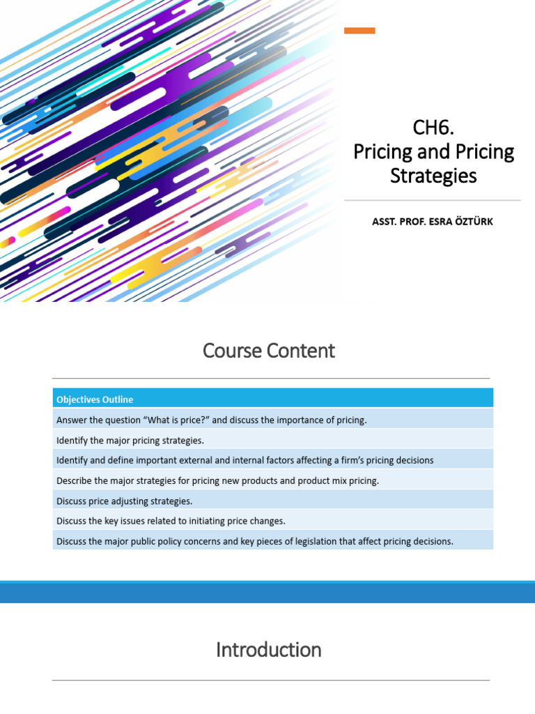 Pricing Strategies for Alesta Sandviç | PDF | Pricing | Marketing