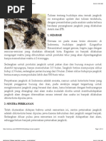Download Peluang Bisnis Budidaya Ternak Jangkrik by Muhammad Luqman Kuswardana SN88977394 doc pdf