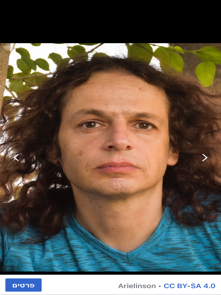 אמיר חצרוני - ויקיפדיה | PDF