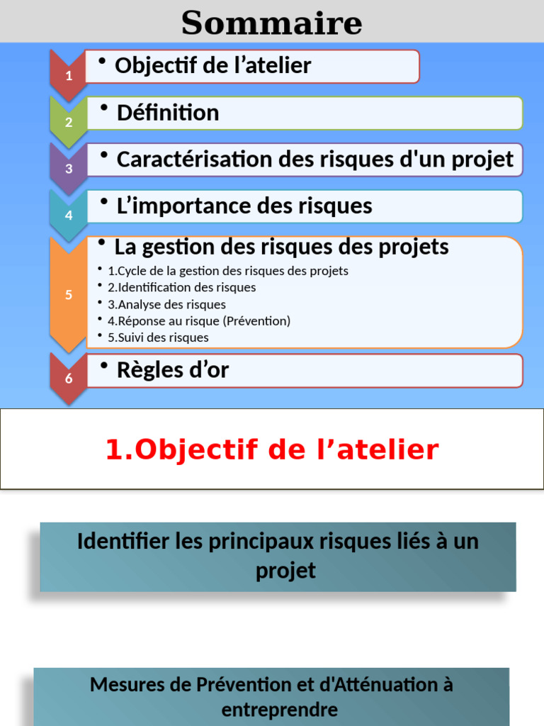 Gestion des Risques de Projet : Guide Complet | PDF | Risque | Gestion ...