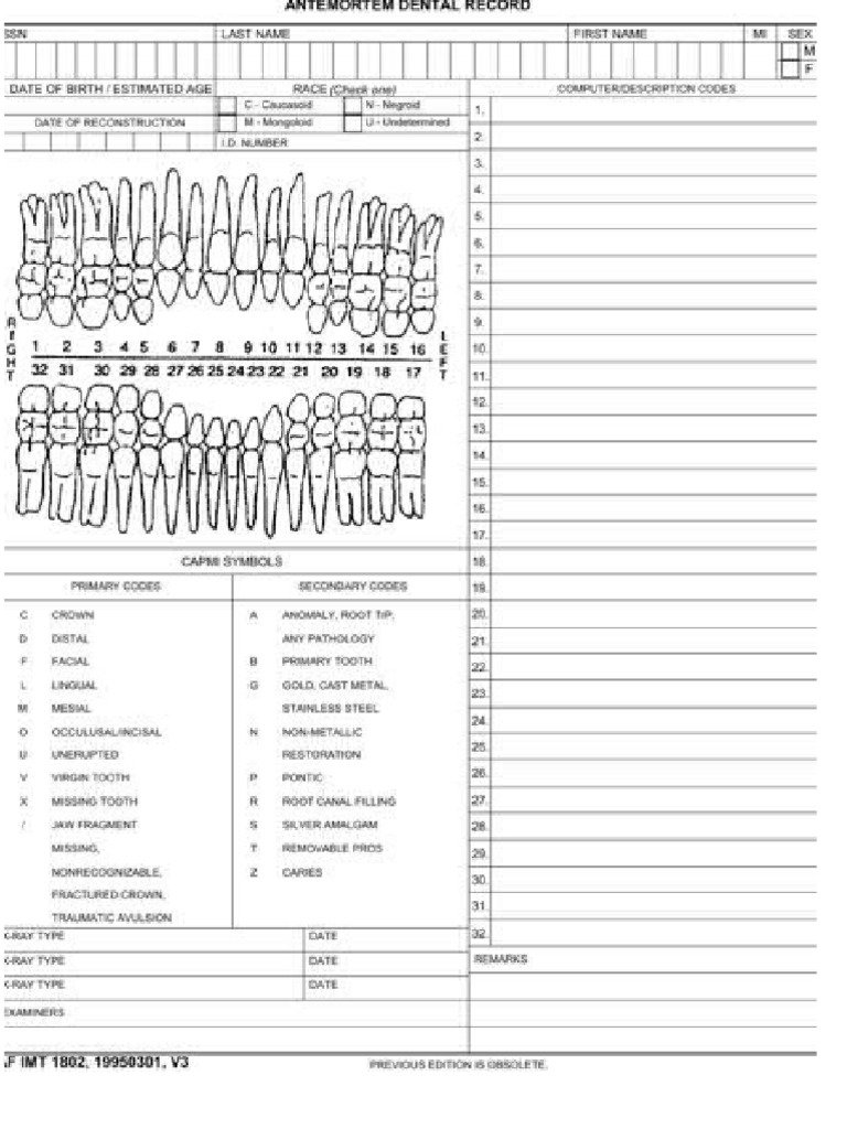 Antemortem Chart | PDF