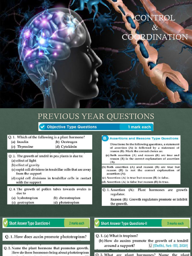 Control and Coordination in Organisms | PDF | Neuron | Stimulus ...