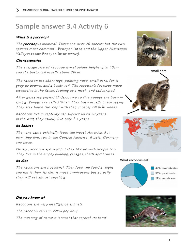 GE 6 Sample Answer Unit 3 | PDF | Raccoon | English Language