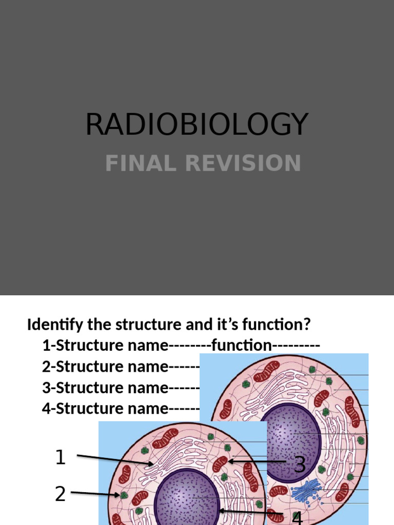 Radiobiology Structure and Function Guide | PDF | Biology