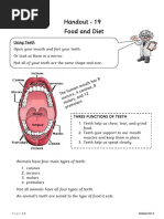 Understanding Tooth Structure and Function | PDF | Language Arts ...