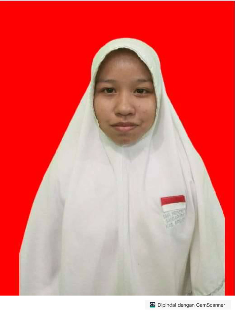 Photo Layar Merah 3x4 | PDF