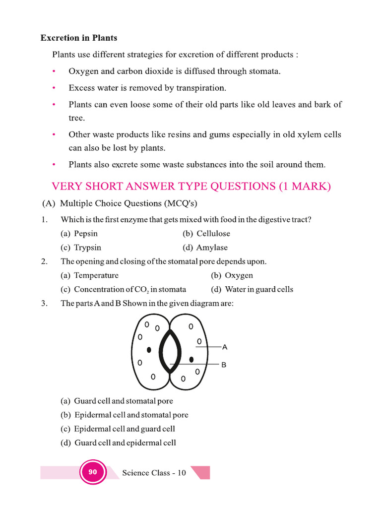 Class10 Science EM Optimize 1 | PDF