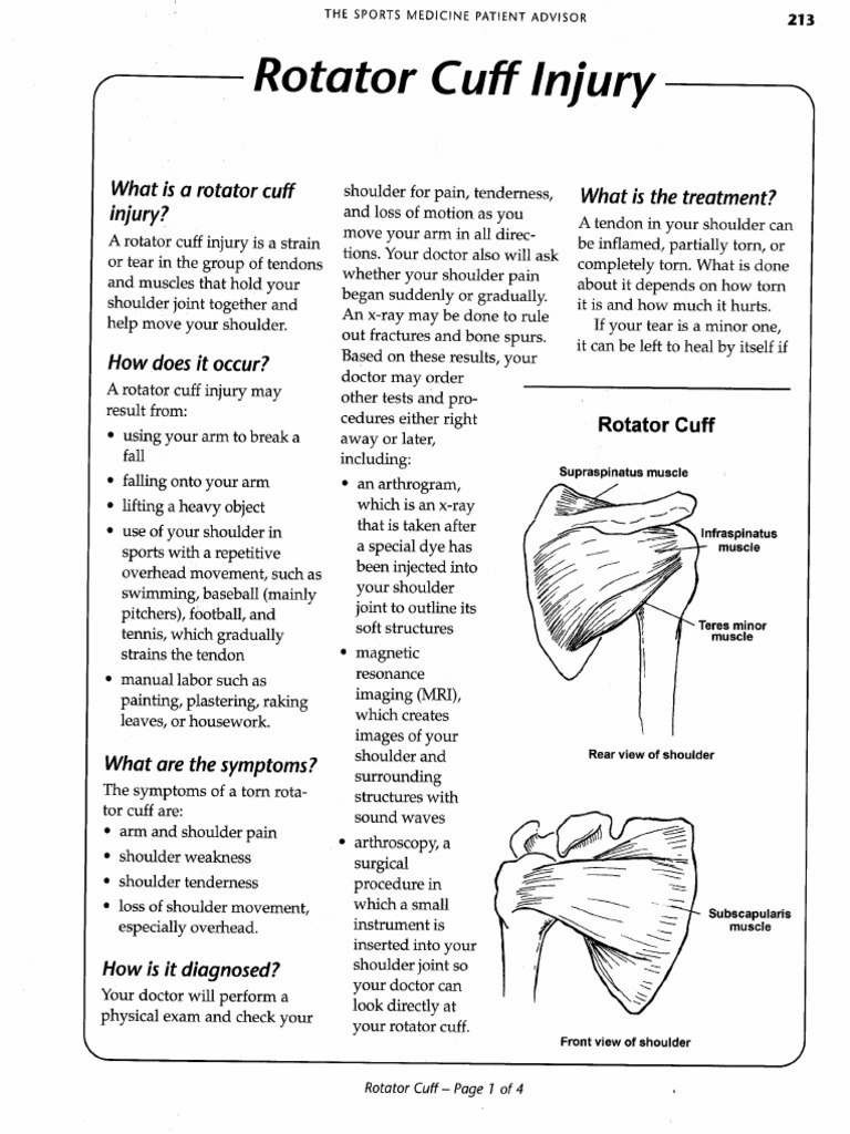 164 - Rotator Cuff | PDF