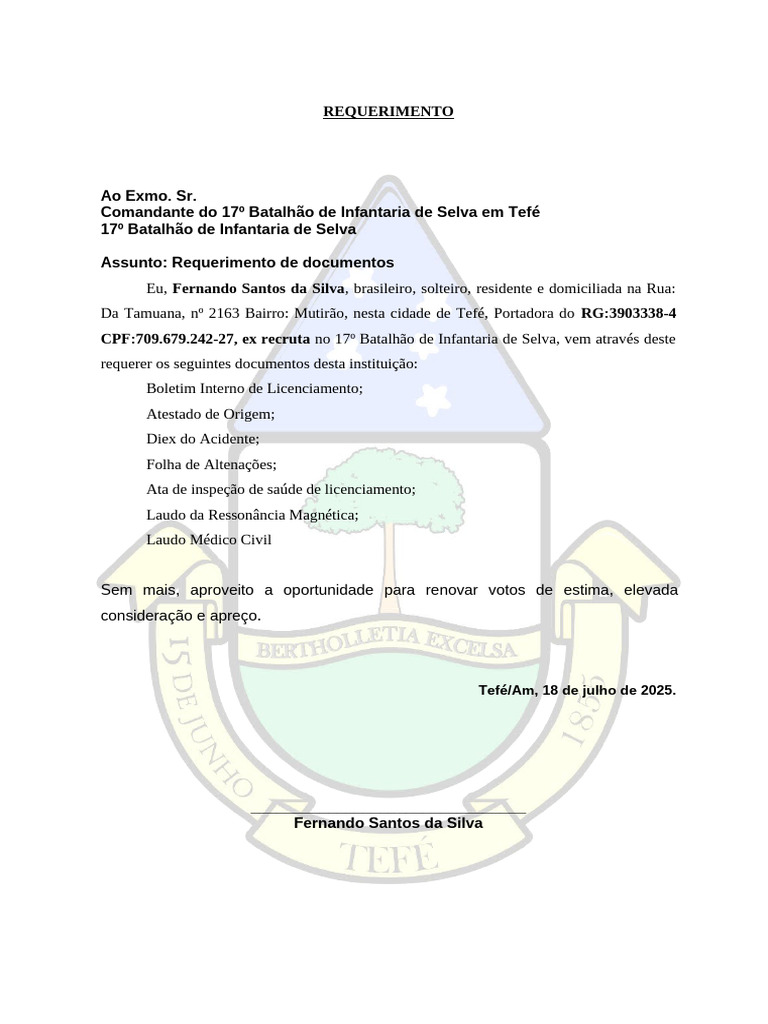 Requerimento de Documentos Pessoais | PDF